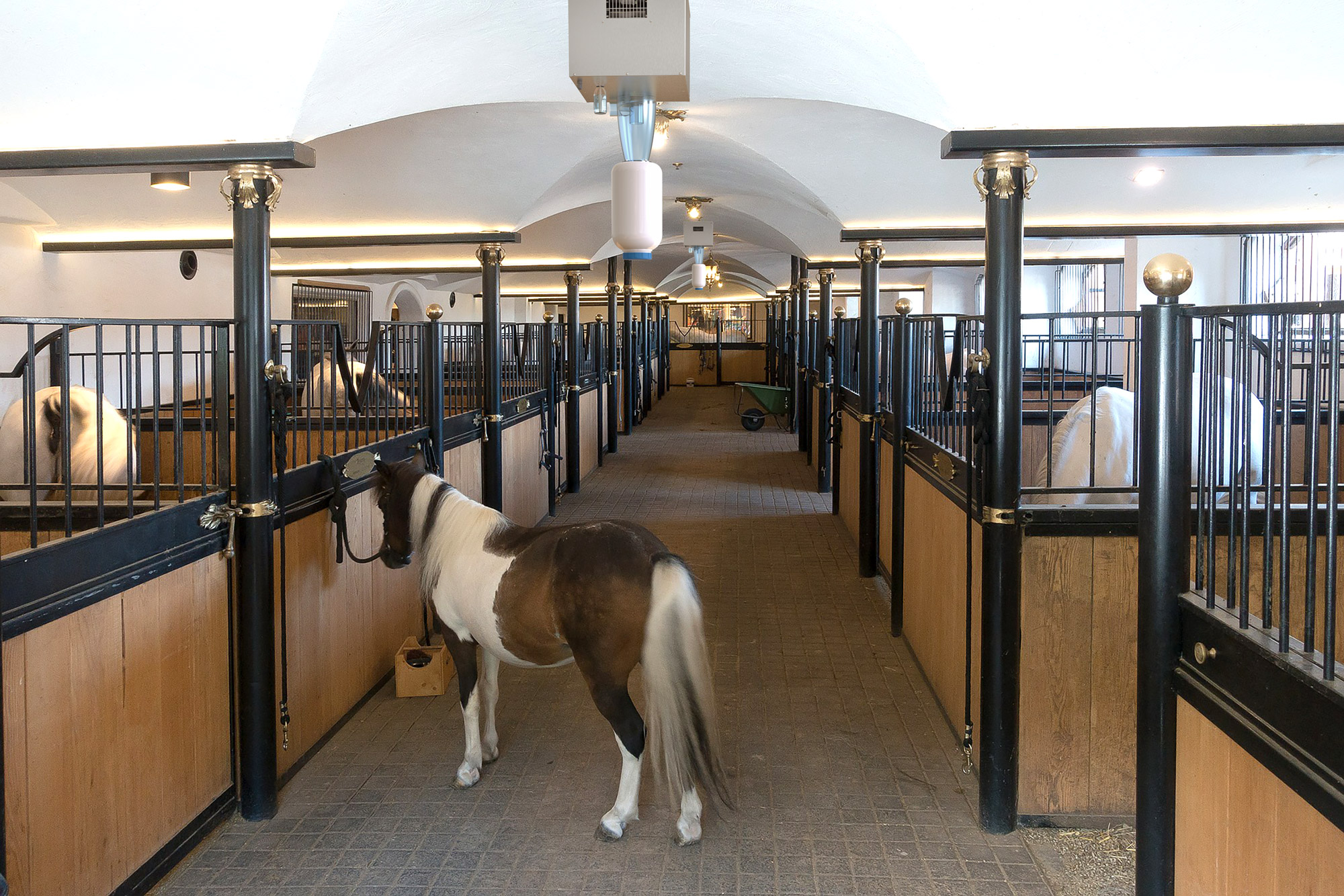 Кск конкорд денники. Денники в конюшне. Конюшни westphalian stables архитектура. Найти конюшню. Кск конкорд денники.